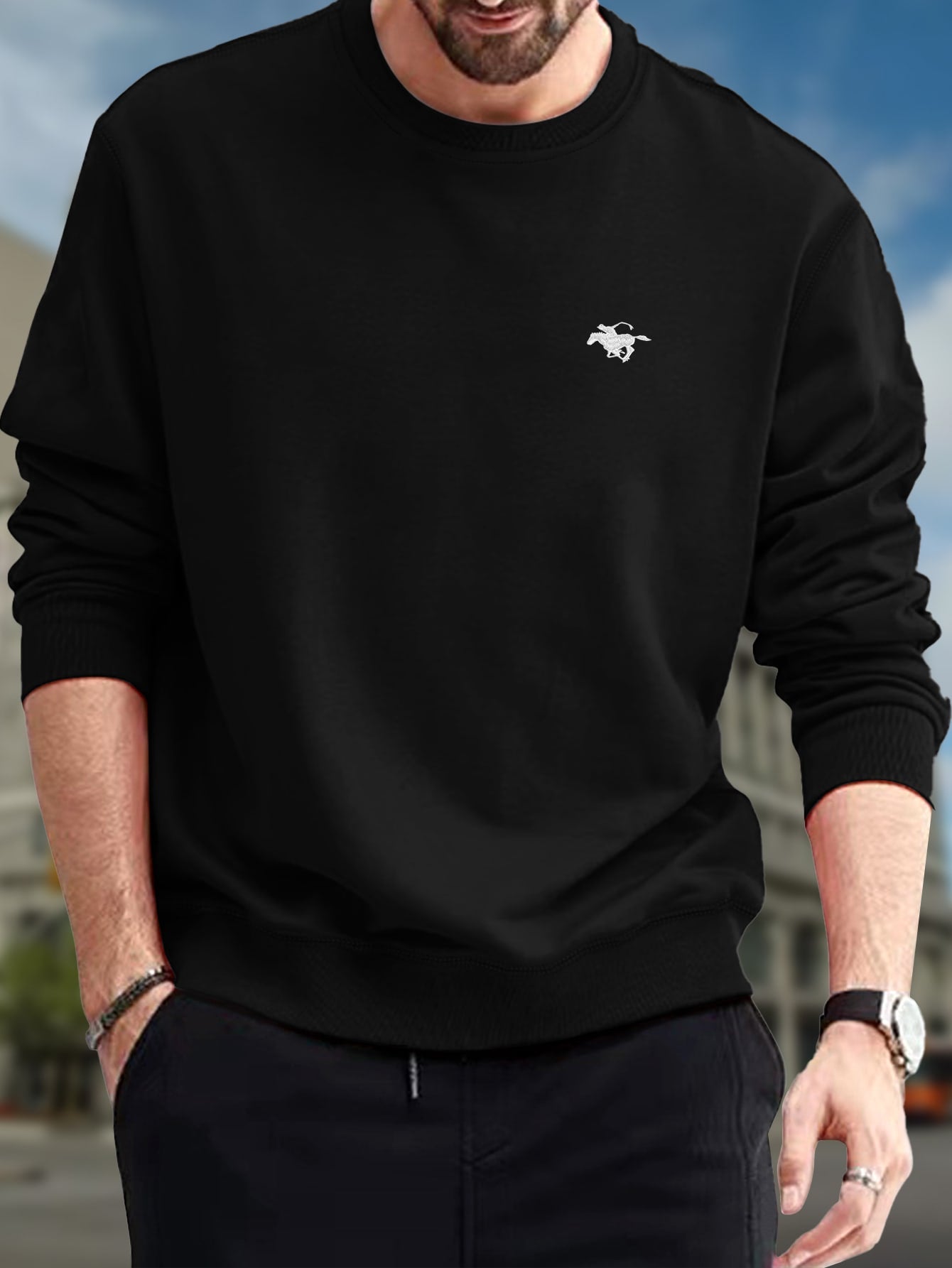 Men Horse Embroidery Sweatshirt