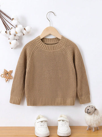 Young Boy Raglan Sleeve Ribbed Knit Sweater