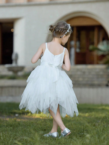 Young Girl's Stylish Waist-Cinching Princess Style Dress With Mesh Design