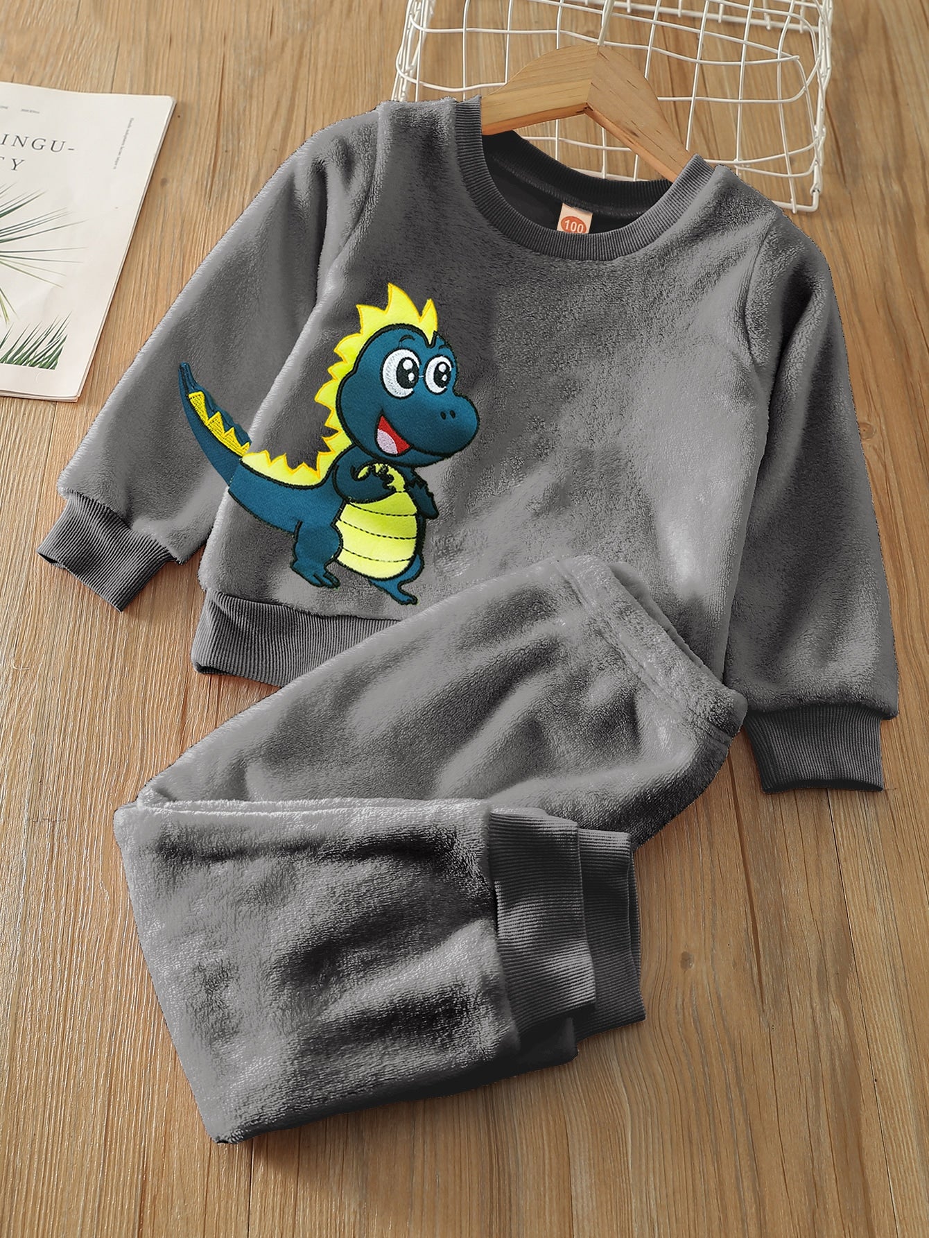 Young Boy Dinosaur Embroidery Flannel Sweatshirt & Pants