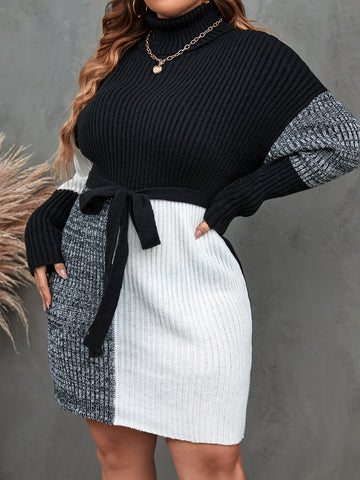 Plus Colorblock Drop Shoulder Turtle Neck Belted Sweater Dress