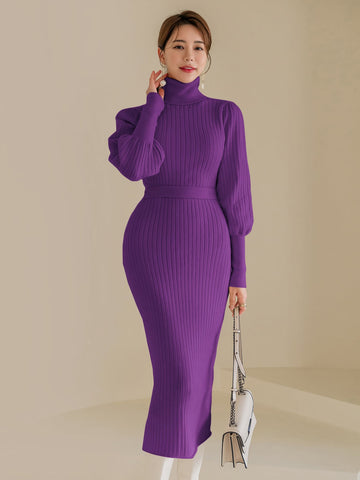 Turtle Neck Gigot Sleeve Belted Sweater Dress