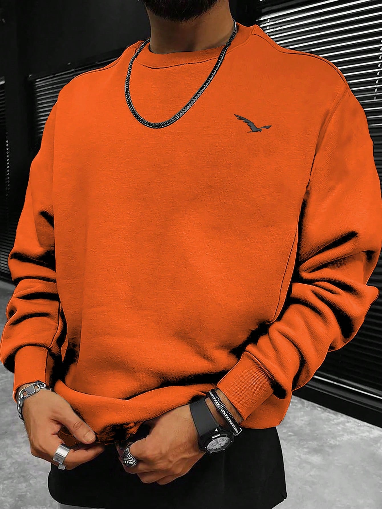 Men Bird Print Drop Shoulder Sweatshirt